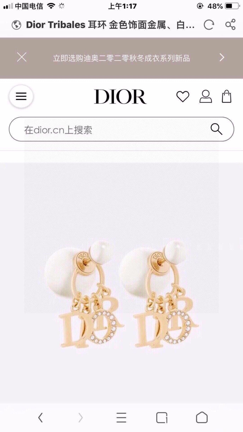 Christian Dior Earrings